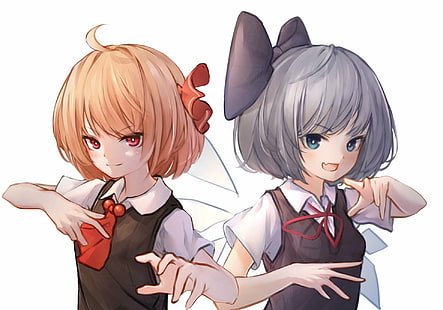 Anime, Touhou, Cirno (Touhou), Rumia (Touhou), HD-Hintergrundbild HD wallpaper