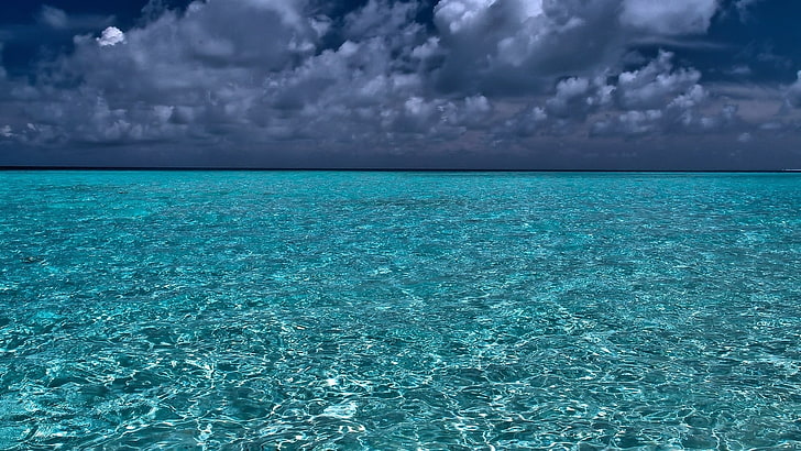 синий и белый цветочный коврик, море, вода, HD обои