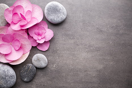цветя, камъни, розово, спа, дзен, HD тапет HD wallpaper