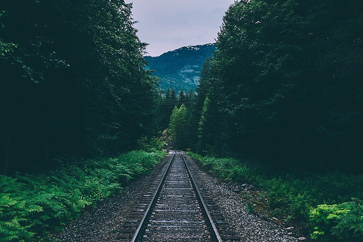сива и черна железница, природа, гора, пейзаж, железопътна линия, HD тапет