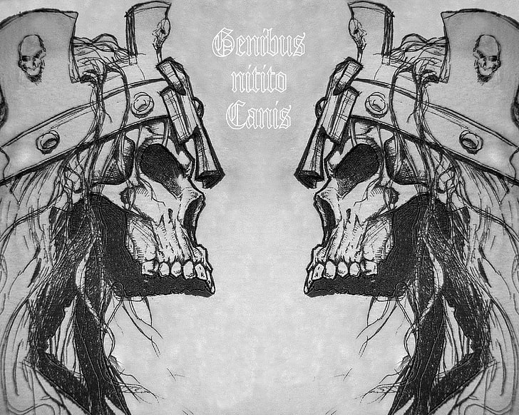 Genibus nitito canis sketch, skull, monochrome, fantasy art, HD wallpaper