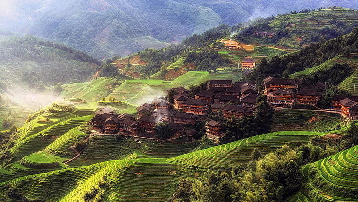Chiny, góry, dom, drzewa, miasto, wioska, wioska Tian Tou, hrabstwo Yangshuo, przyroda, krajobraz, Azja, ryż ryżowy, poranek, mgła, wzgórza, las, tarasowe pole, Tapety HD