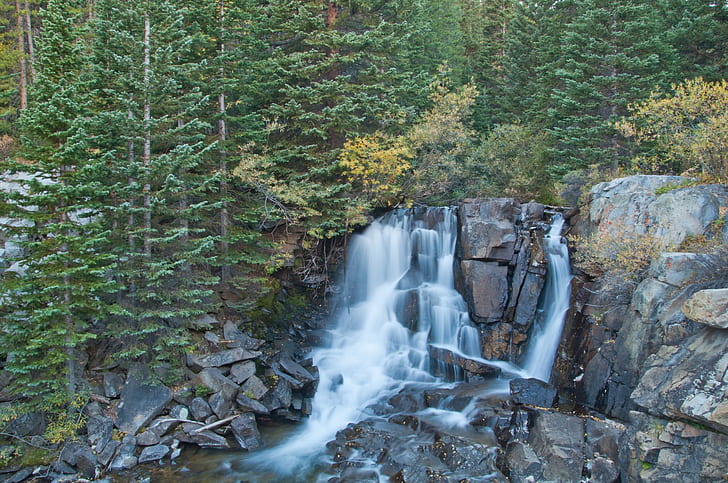 forest, trees, rocks, waterfall, Boulder Falls, HD wallpaper