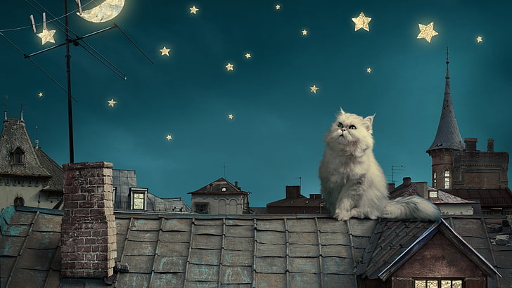 cat, roof, moon, stars, cartoon, illustration, sky, night, fairy tale, fairytale, white cat, cloud, darkness, midnight, HD wallpaper