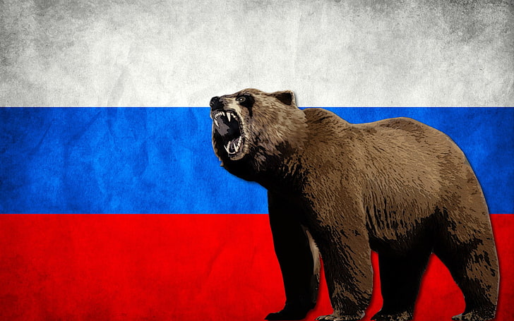 beruang, bendera, Rusia, Rusia, Wallpaper HD
