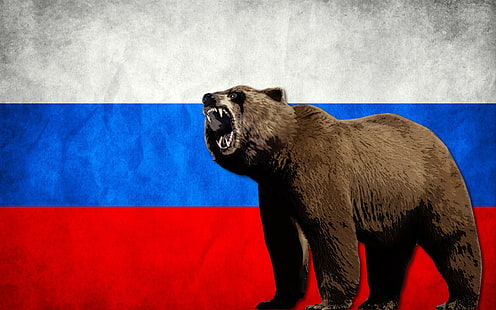 beruang, bendera, Rusia, Rusia, Wallpaper HD HD wallpaper