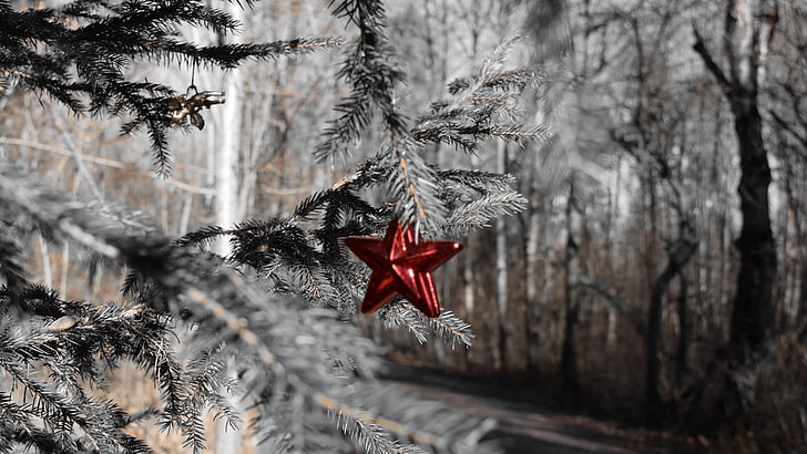 aquila nera e rossa stampa tessile, alberi, Natale, ornamenti natalizi, Sfondo HD