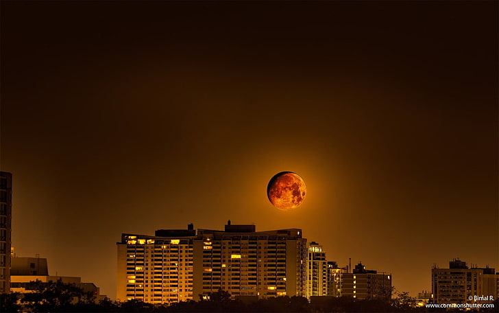 lunar eclipse, Moon, cityscape, sky, orange, dark, night, HD wallpaper