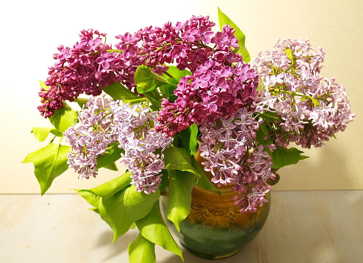 pink and purple cluster flowers, lilac, bouquet, vase, bloom, spring, HD wallpaper