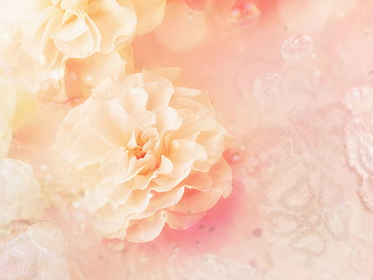 꽃, 꽃, 예술, 파스텔, 복숭아 꽃, HD 배경 화면 HD wallpaper