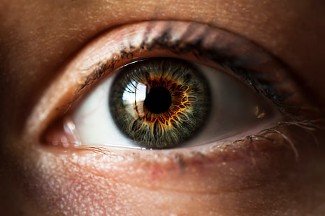 عين الإنسان ، الماكرو ، العيون ، التلميذ ، قزحية العين، خلفية HD HD wallpaper