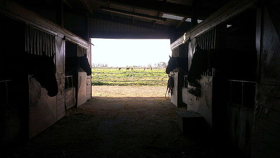 fienile, equitazione, fattoria, cavallo, cavalli, stalla aperta, ombre, stalle, stalla, bancarelle, Sfondo HD HD wallpaper