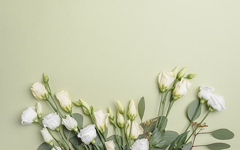  Flowers, Bouquet, Background, Eustoma, HD wallpaper HD wallpaper