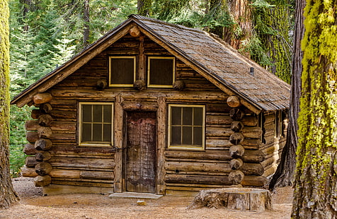 коричневый деревянный дом, лес, деревья, дом, пень, деревянный, хижина, HD обои HD wallpaper
