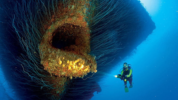 人の黒のダイビングスーツセット 自然 海 水 水中 難破船 ダイバー サンゴ ライト ビキニ環礁 青 マーシャル諸島 女性 Hdデスクトップの壁紙 Wallpaperbetter