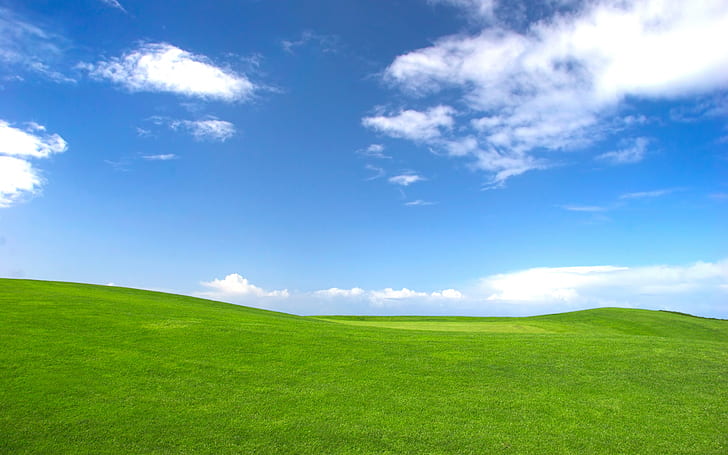Glückseligkeit, Gras, HD-Hintergrundbild