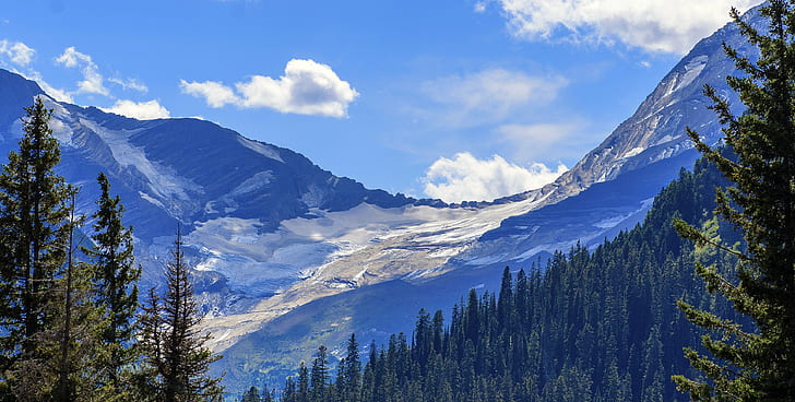 skog och berg under blå himmel, Jackson Glacier, Glacier National Park, Park forest, berg, blue sky, Glacier National Park, berg, natur, skog, landskap, scenics, utomhus, träd, HD tapet