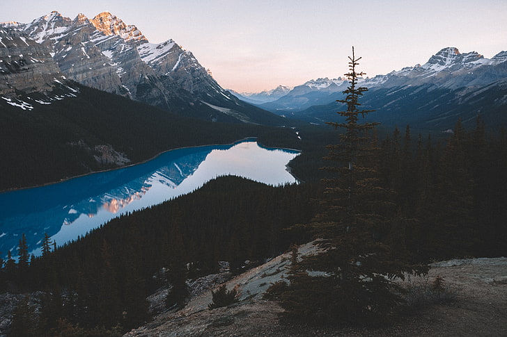 pegunungan abu-abu, danau, gunung, pohon, langit, Wallpaper HD