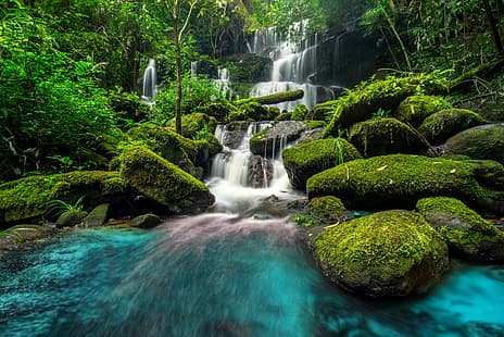 floresta, rio, cachoeira, selva, linda, tropical, HD papel de parede HD wallpaper