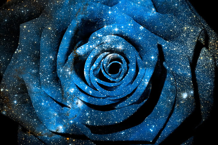 blue and white rose, rose, Cosmic, blue and white, white rose, NGC 346, galaxy, celestial, cosmos, universe, nebula, star, clusters, constellation, divine, infinite, infinity, eternal, eternity, big  bang, flower, floral, petals, texture, background, beauty, beautiful, epic, surreal, ethereal, fantasy  science  fiction, sci  fi, sci-fi, dreamy, elegant, ornate, abstract  concept, conceptual, round, curves, macro, lights, glow, bright  blue, colorful, color, colors, colour, colours, vivid, stock, photomanipulation, image, digital  art, ca, abstract, backgrounds, space, spiral, illustration, fractal, science, HD wallpaper