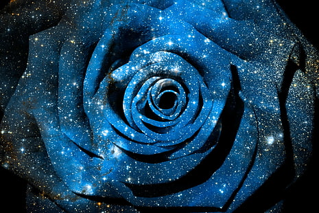 blue and white rose, rose, Cosmic, blue and white, white rose, NGC 346, galaxy, celestial, cosmos, universe, nebula, star, clusters, constellation, divine, infinite, infinity, eternal, eternity, big  bang, flower, floral, petals, texture, background, beauty, beautiful, epic, surreal, ethereal, fantasy  science  fiction, sci  fi, sci-fi, dreamy, elegant, ornate, abstract  concept, conceptual, round, curves, macro, lights, glow, bright  blue, colorful, color, colors, colour, colours, vivid, stock, photomanipulation, image, digital  art, ca, abstract, backgrounds, space, spiral, illustration, fractal, science, HD wallpaper HD wallpaper