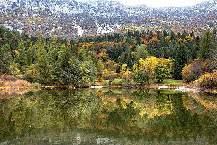 natura, fotografia, paesaggio, foresta, autunno, alberi, lago, montagne, riflesso, Italia, Sfondo HD