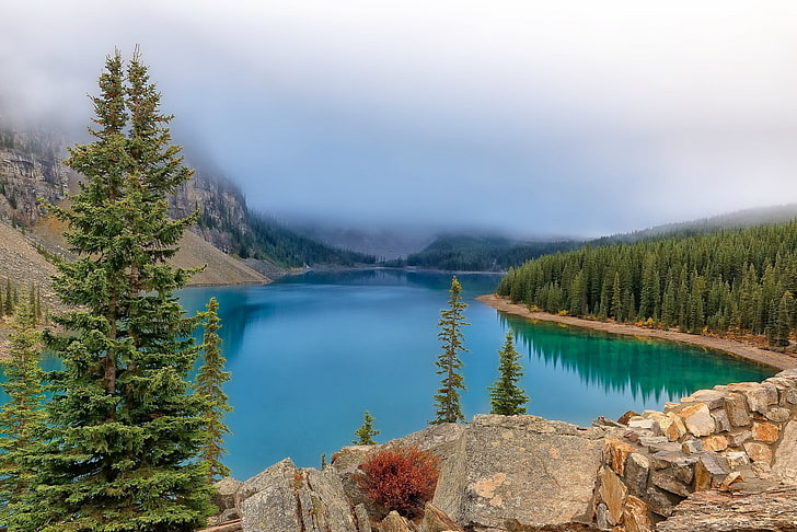 przyroda, krajobraz, drzewa, las, jezioro, góry, skała, odbicie, Park Narodowy Alberta, Kanada, mgła, Park Narodowy Banff, Tapety HD