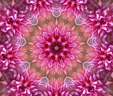 Blumen, Hintergrund, Muster, Grafiken, Textur, digitale Kunst, Symmetrie, Mandala, HD-Hintergrundbild HD wallpaper