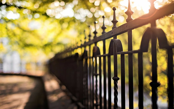 Blurred, bokeh, fence, leaves, Lights, macro, nature, photography, road, sunlight, HD wallpaper