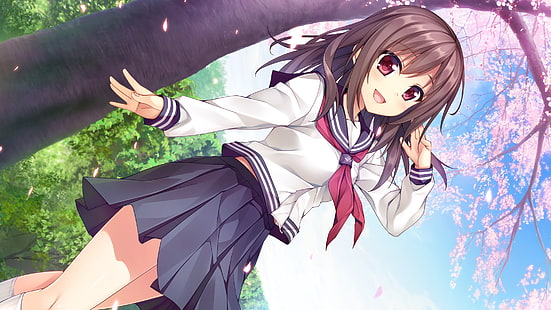 inochi no spare, shukugawa meguri, uniforme escolar, flor de sakura, visual novel, anime, HD papel de parede HD wallpaper