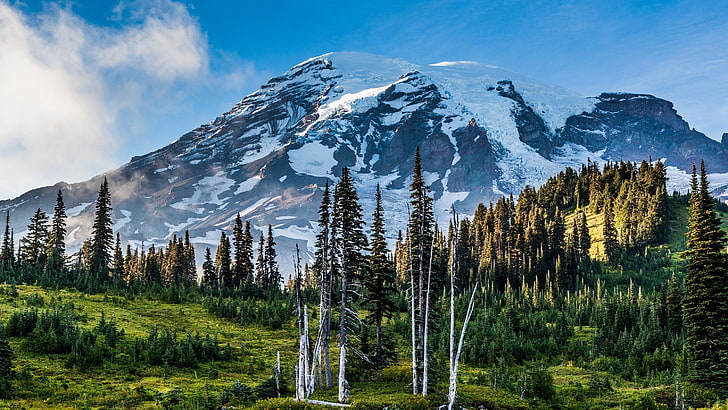 grüne Kiefern, Natur, Landschaft, Mount Rainier, Bundesstaat Washington, Berge, schneebedeckte Gipfel, Wald, Gras, Bäume, Wolken, USA, Kiefern, HDR, HD-Hintergrundbild