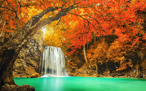 vattenfall omgiven av bruna träd, landskap, natur, färgglada, vattenfall, träd, falla, röd, gul, turkos, vatten, Thailand, HD tapet HD wallpaper