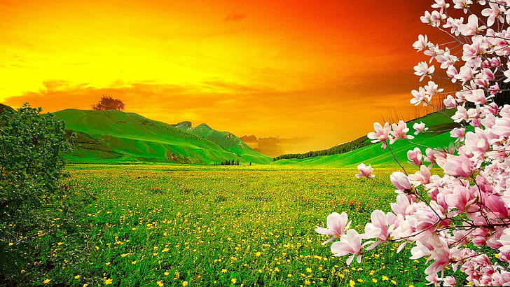 أشجار الربيع المزهرة ، أزهار ساكورا الوردية على مرج أخضر مع أزهار صفراء ، تلال مع سماء غروب الشمس البرتقالية الخضراء، خلفية HD