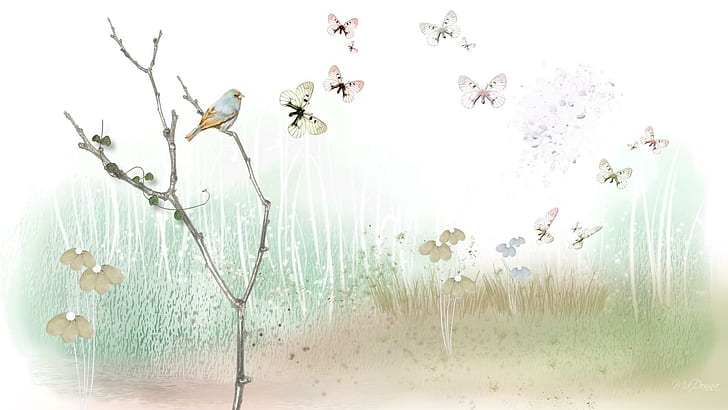 Mundo macio do verão, persona do firefox, macio, grama, pássaro, flores, campo, luz, verão, borboletas, 3d e abstrato, HD papel de parede