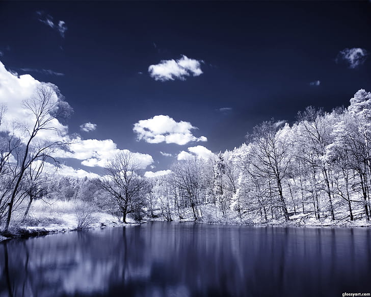 冬の木の雪の湖の風景のHD、自然、風景、木、雪、湖、冬、 HDデスクトップの壁紙