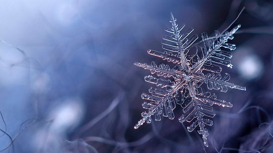 snowflake, blue, frost, freezing, winter, frozen, macro, cold, snow, flake, shine, ice, HD wallpaper HD wallpaper