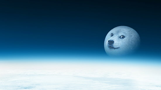 Doge Moon цифровые обои, дож, Шиба Ину, HD обои HD wallpaper