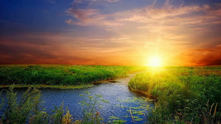 ธรรมชาติท้องฟ้าพื้นที่ชุ่มน้ำขอบฟ้าฟิลด์ตอนเช้าแสงแดดทุ่งหญ้ารุ่งอรุณทุ่งหญ้า, วอลล์เปเปอร์ HD