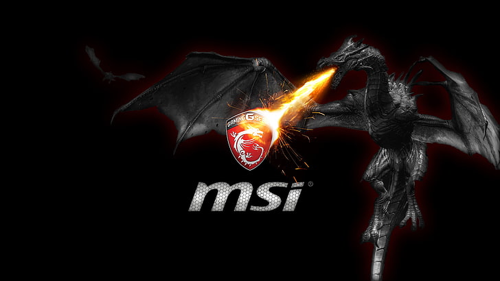 Logo MSi, MSI, Gamer, Fond d'écran HD