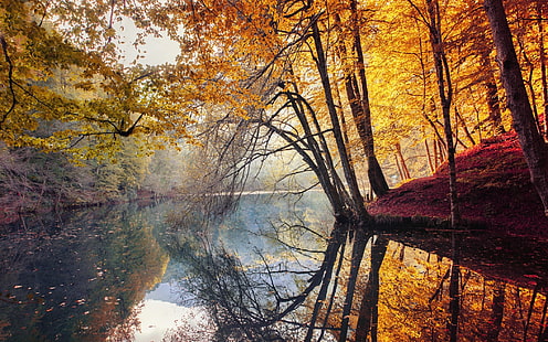высокие деревья, природа, пейзаж, осень, деревья, желтый, красный, листья, туман, река, вода, отражение, Турция, красочный, лес, HD обои HD wallpaper