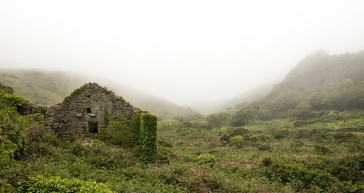 champ d'herbe verte, ruines, montagnes, herbe, brouillard, Fond d'écran HD