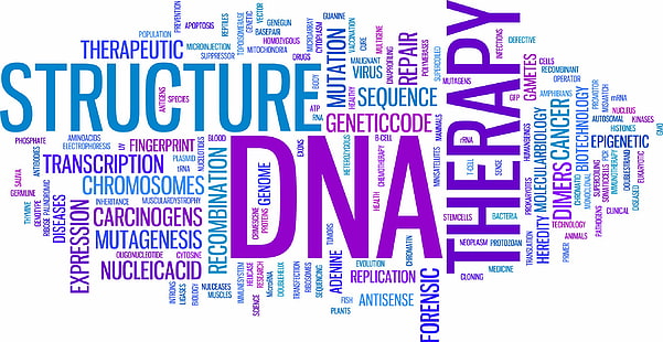 3 д, абстракция, днк, генетика, молекула, паттерн, психоделика, структура, HD обои HD wallpaper
