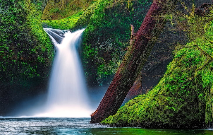 заснемане на времето на водопад, падане на паднала купа, поток на орел, дефиле на река Колумбия, Орегон, HD тапет
