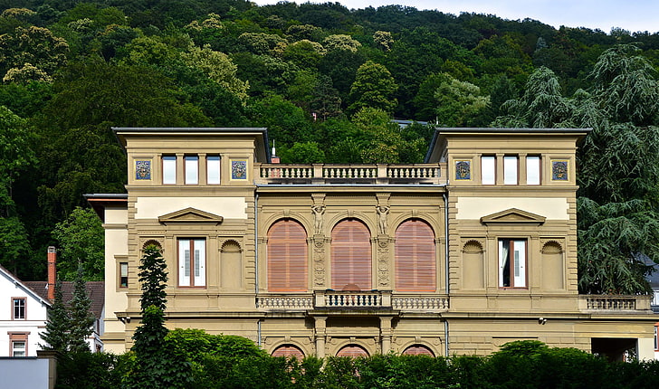 bosque, Heidelberg, montaña, villa, Fondo de pantalla HD