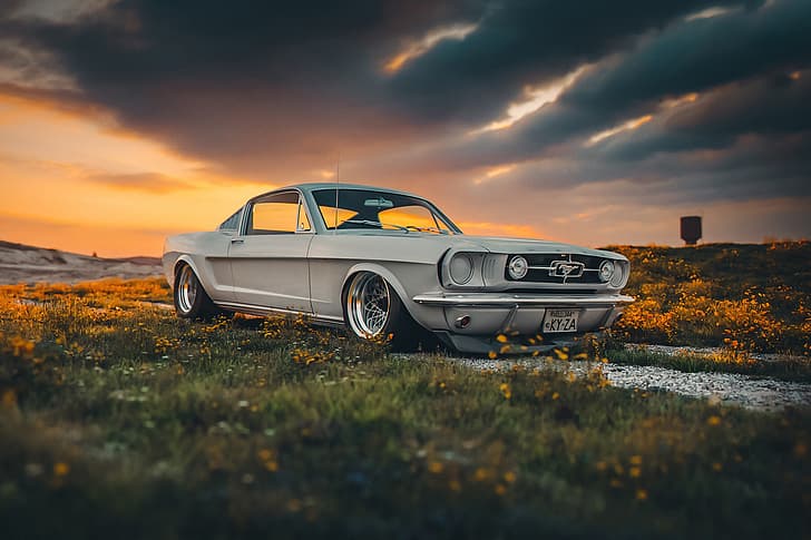 Mustang, Ford, Shelby, GT350, HD-Hintergrundbild