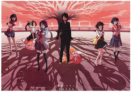 Anime, Monogatari (série), Hitagi Senjōgahara, Koyomi Araragi, Mayoi Hachikuji, Nadeko Sengoku, Shinobu Oshino, Suruga Kanbaru, Tsubasa Hanekawa, Fond d'écran HD HD wallpaper