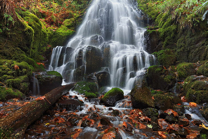 Columbia River Oregon Waterfall Cascade Rocks Moss Leaves Autumn Magazine, wodospady, jesień, kaskada, kolumbia, liście, magazyn, mech, oregon, rzeka, skały, wodospad, Tapety HD