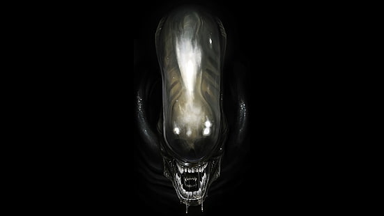 czarny Predator, Alien (film), kosmici, Alien: Isolation, Xenomorph, grafika, Tapety HD HD wallpaper