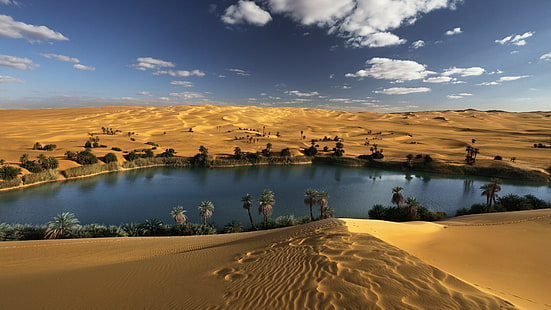 landscape desert oasis oases palm trees, HD wallpaper HD wallpaper