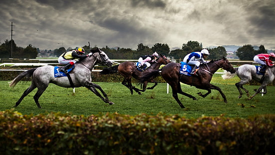 แข่งรถ, แข่งม้า, ม้า, วอลล์เปเปอร์ HD HD wallpaper